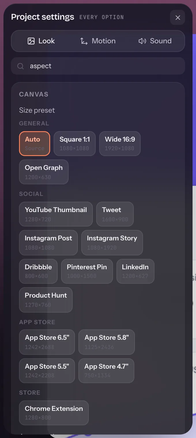The Canvas section with size presets and aspect ratio options